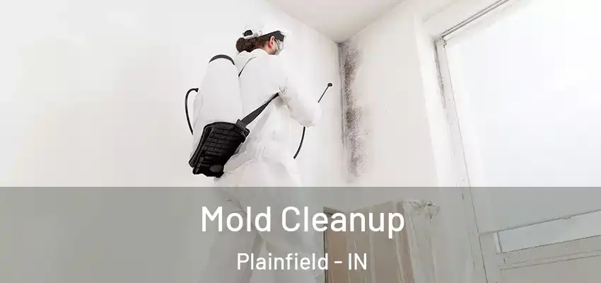  Mold Cleanup Plainfield - IN