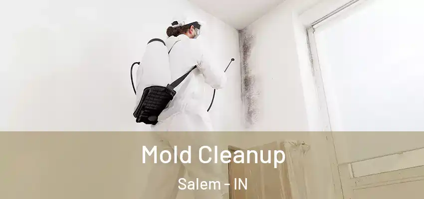  Mold Cleanup Salem - IN