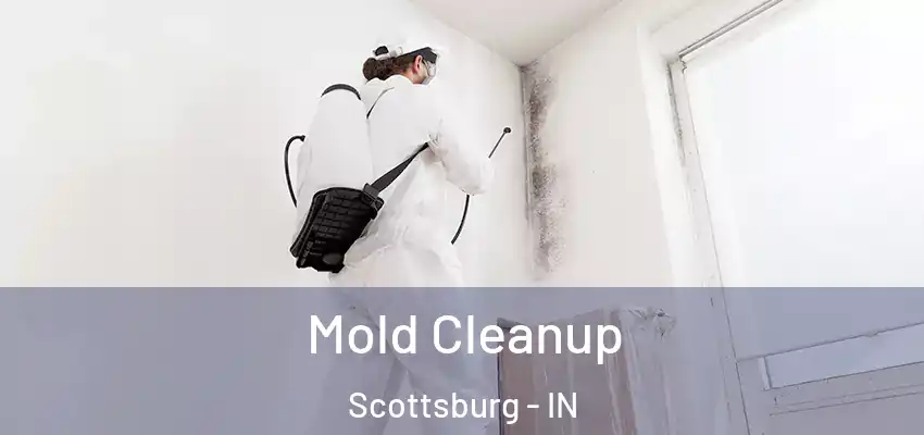  Mold Cleanup Scottsburg - IN