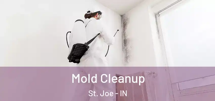  Mold Cleanup St. Joe - IN