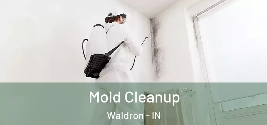  Mold Cleanup Waldron - IN