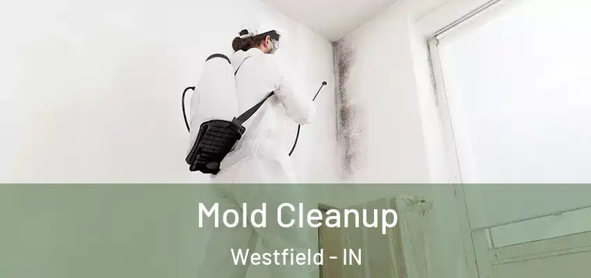Mold Cleanup Westfield - IN