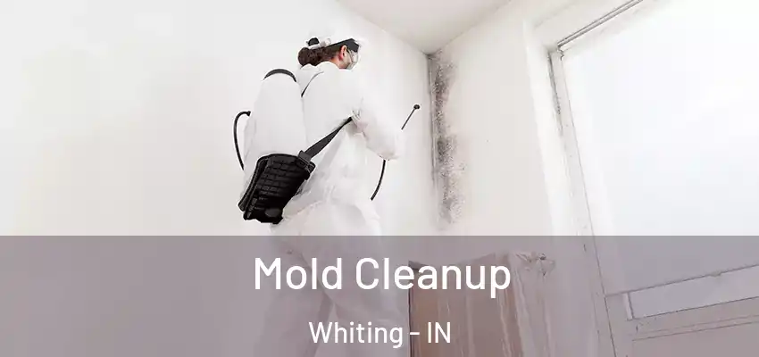  Mold Cleanup Whiting - IN