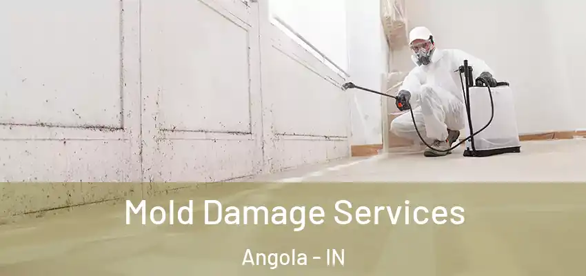  Mold Damage Services Angola - IN