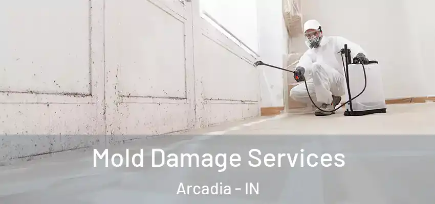  Mold Damage Services Arcadia - IN