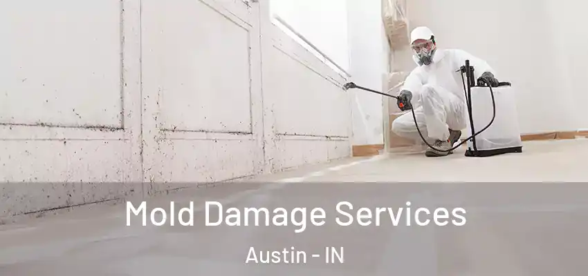  Mold Damage Services Austin - IN