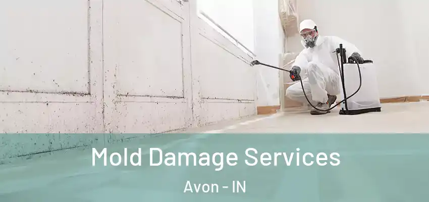  Mold Damage Services Avon - IN
