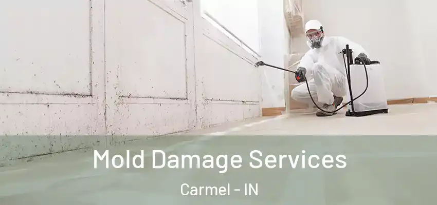  Mold Damage Services Carmel - IN