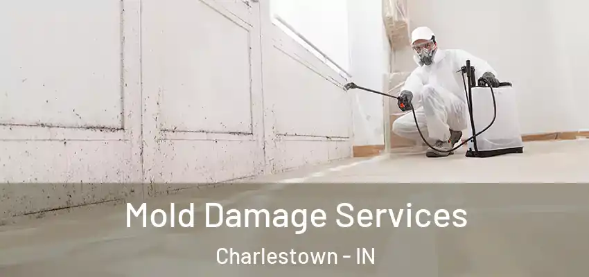 Mold Damage Services Charlestown - IN