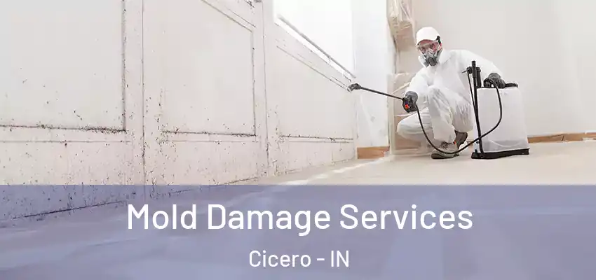 Mold Damage Services Cicero - IN