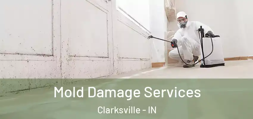  Mold Damage Services Clarksville - IN