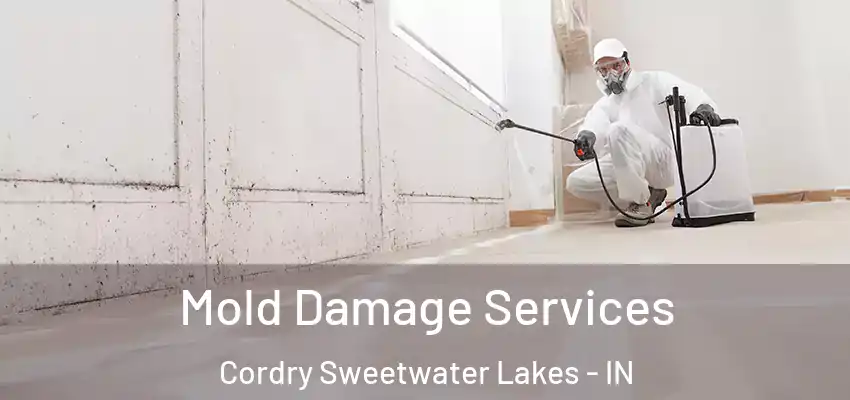  Mold Damage Services Cordry Sweetwater Lakes - IN