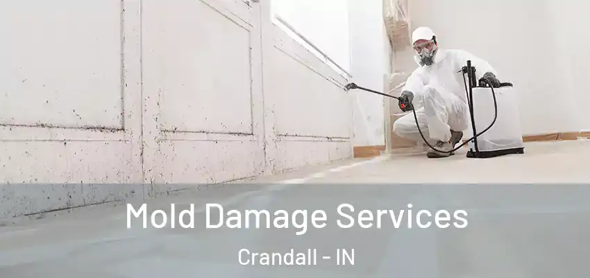  Mold Damage Services Crandall - IN