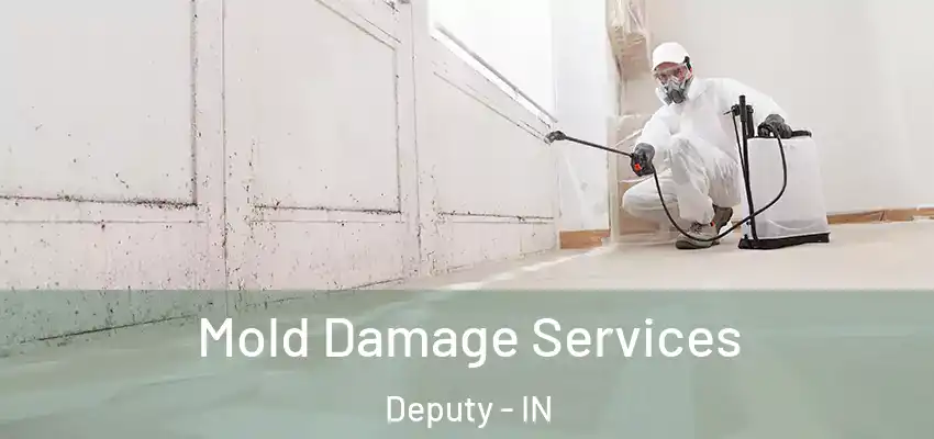  Mold Damage Services Deputy - IN