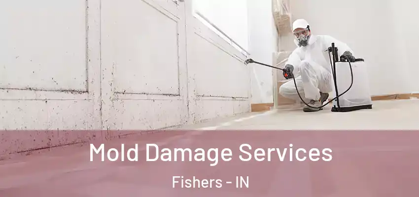Mold Damage Services Fishers - IN