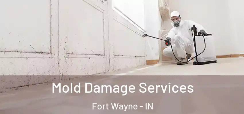  Mold Damage Services Fort Wayne - IN