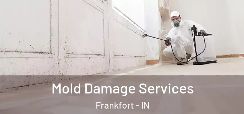 Mold Damage Services Frankfort - IN