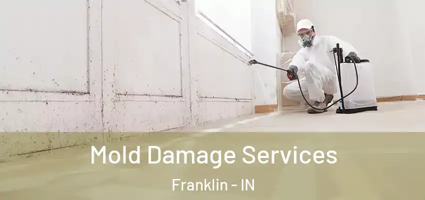  Mold Damage Services Franklin - IN