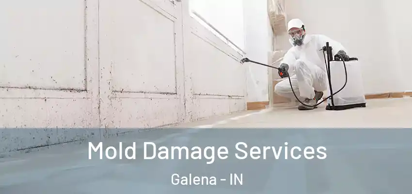  Mold Damage Services Galena - IN