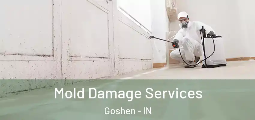  Mold Damage Services Goshen - IN