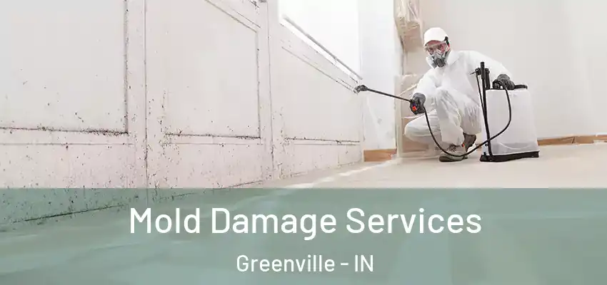 Mold Damage Services Greenville - IN