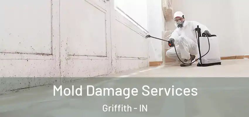 Mold Damage Services Griffith - IN