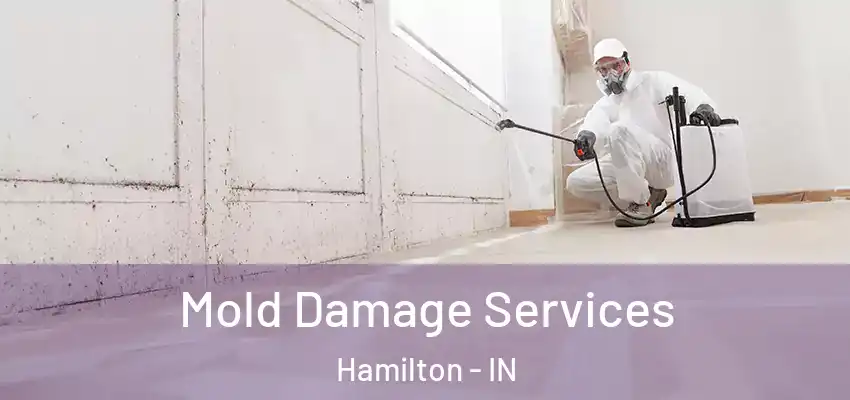  Mold Damage Services Hamilton - IN