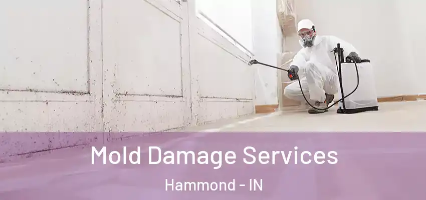  Mold Damage Services Hammond - IN