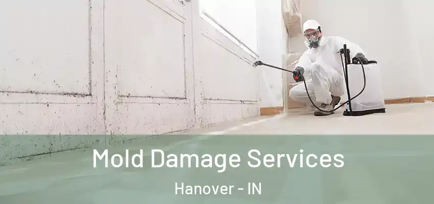  Mold Damage Services Hanover - IN