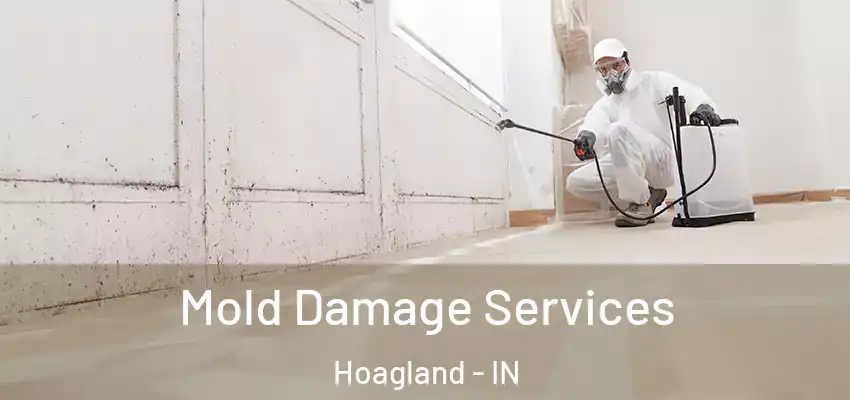  Mold Damage Services Hoagland - IN