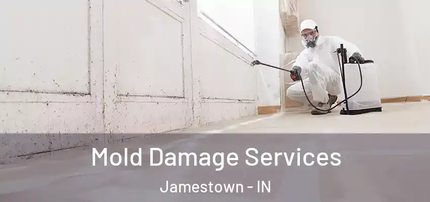 Mold Damage Services Jamestown - IN
