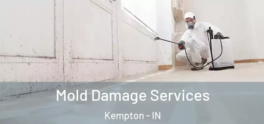 Mold Damage Services Kempton - IN