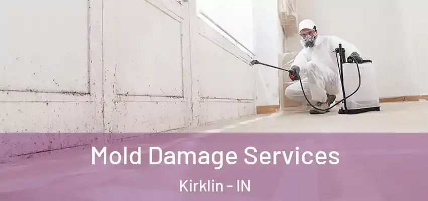 Mold Damage Services Kirklin - IN