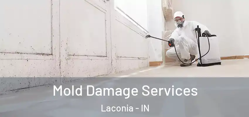  Mold Damage Services Laconia - IN