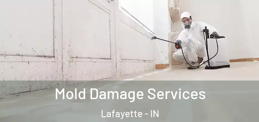 Mold Damage Services Lafayette - IN
