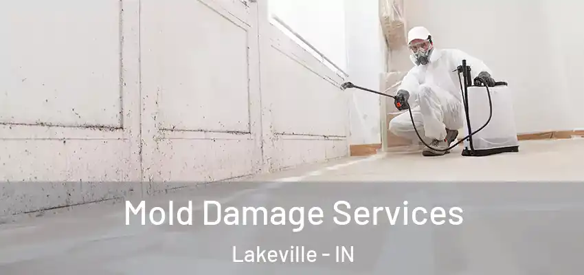  Mold Damage Services Lakeville - IN