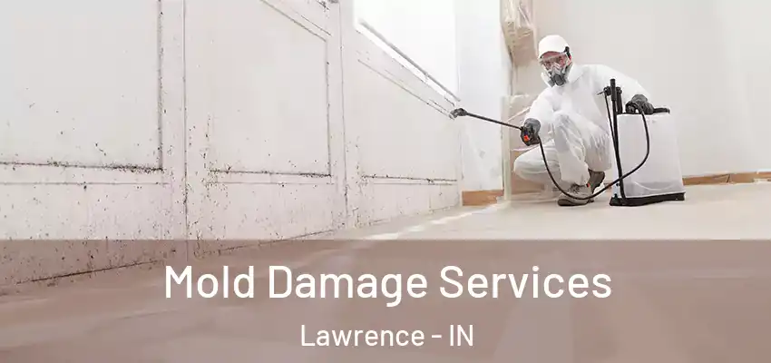  Mold Damage Services Lawrence - IN