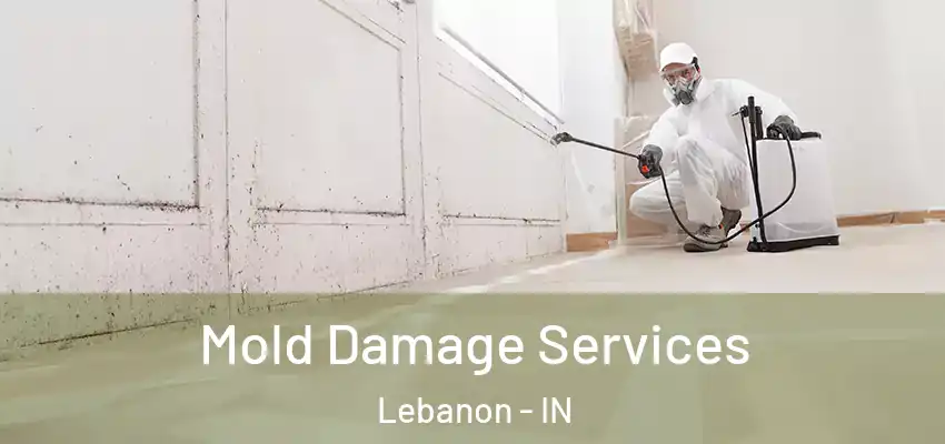  Mold Damage Services Lebanon - IN