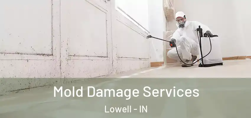  Mold Damage Services Lowell - IN