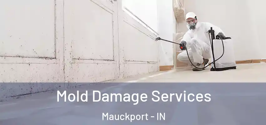  Mold Damage Services Mauckport - IN