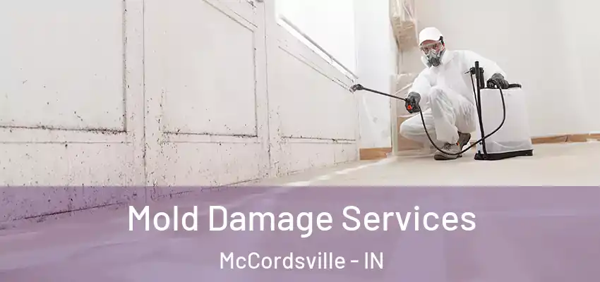  Mold Damage Services McCordsville - IN