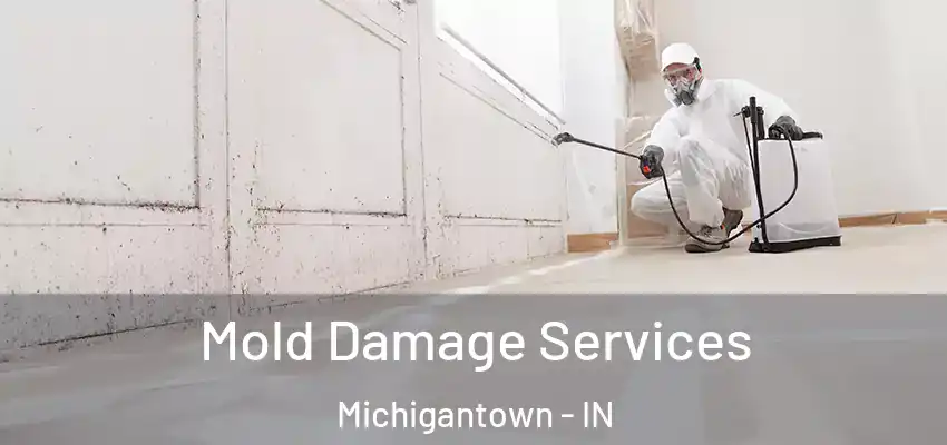 Mold Damage Services Michigantown - IN