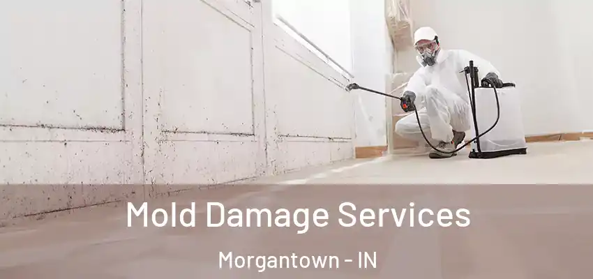  Mold Damage Services Morgantown - IN