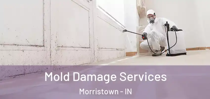 Mold Damage Services Morristown - IN