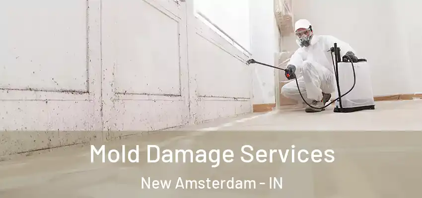  Mold Damage Services New Amsterdam - IN