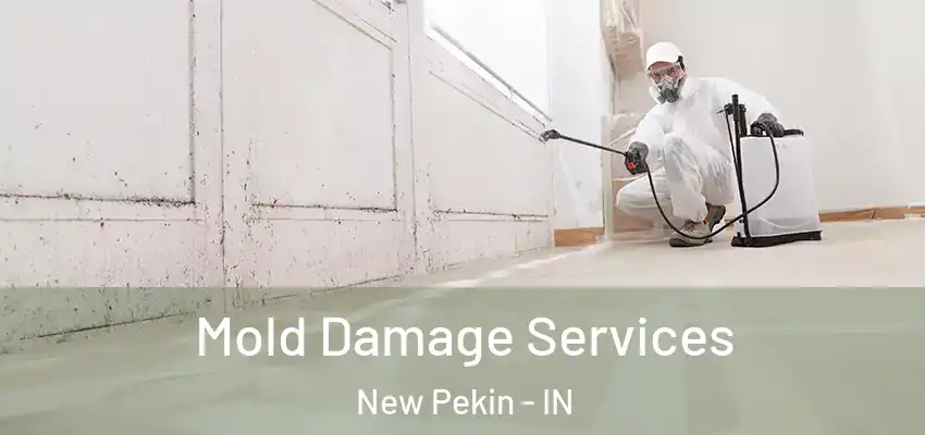 Mold Damage Services New Pekin - IN