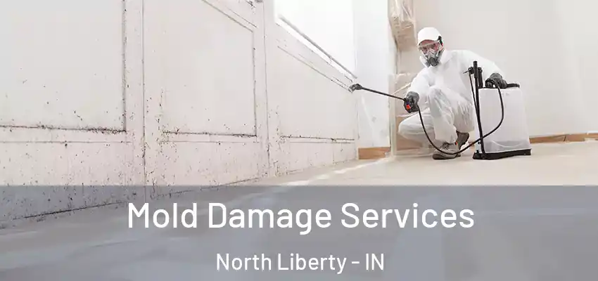  Mold Damage Services North Liberty - IN