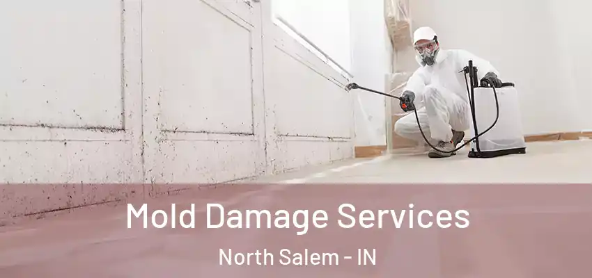  Mold Damage Services North Salem - IN