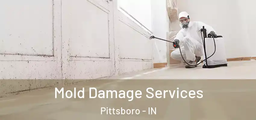  Mold Damage Services Pittsboro - IN