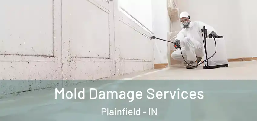  Mold Damage Services Plainfield - IN